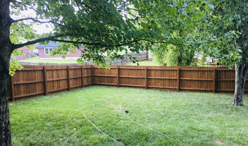 Fence Cleaning